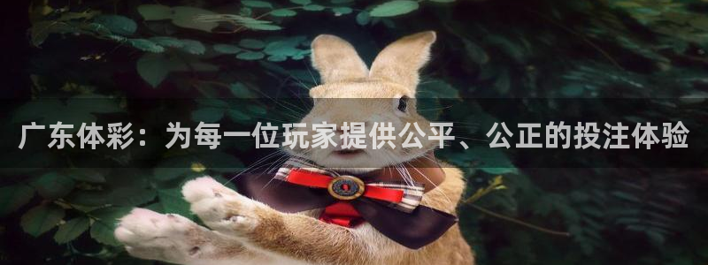 必一体育app下载装机吧：广东体彩：为每一位玩家提供公平、公