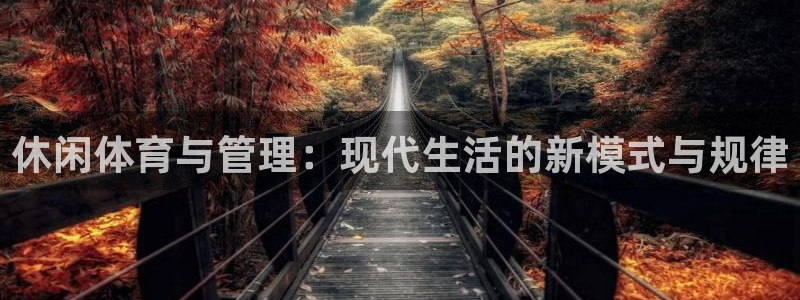 必十二和必一的副作用：休闲体育与管理：现代生活的新模式与规律
