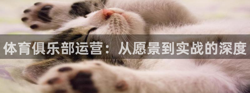 必一体育服下载最新版