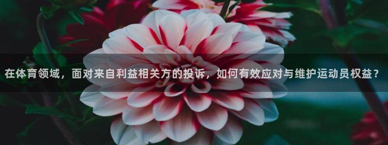 必一体育下载义：在体育领域，面对来自利益相关方的投诉，如何有