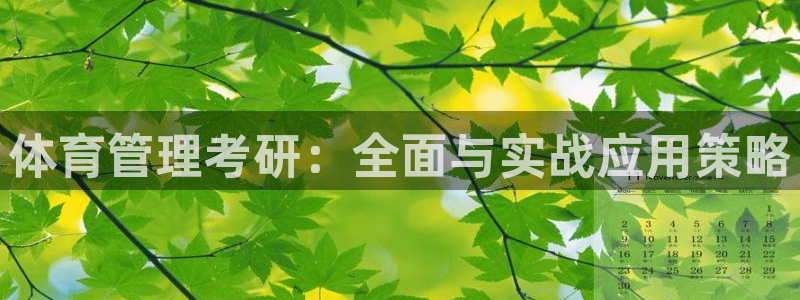 必一体育在线玩：体育管理考研：全面与实战应用策略