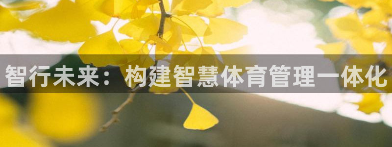 必一体育电子app：
