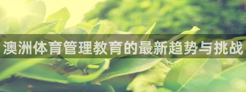 必一体育黑平台：澳洲