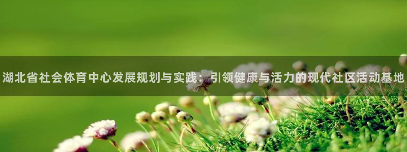 必一体育旧版：湖北省
