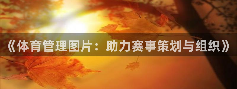 必一体育没了：《体育