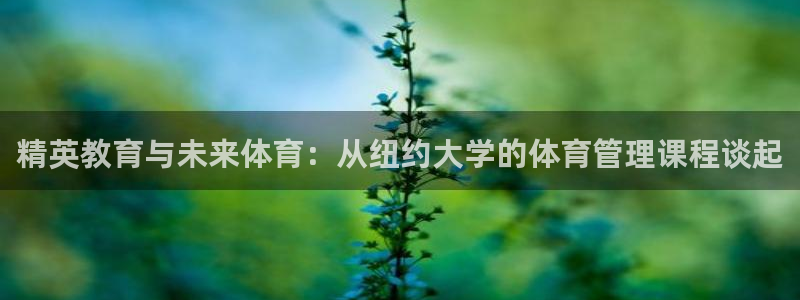必一运动bsport