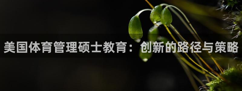必一体育下载一样吗：