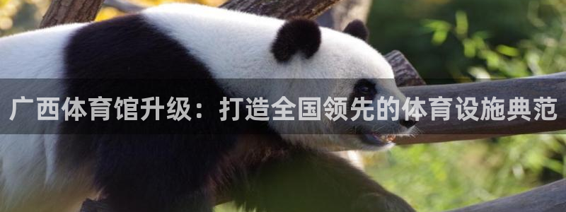 必一体育黑平台：广西