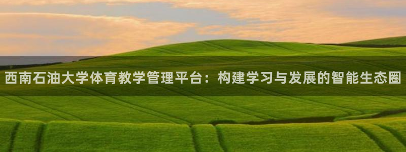 必一体育黑平台：西南