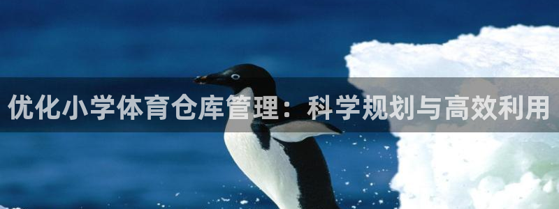 必一体育登录入口：优