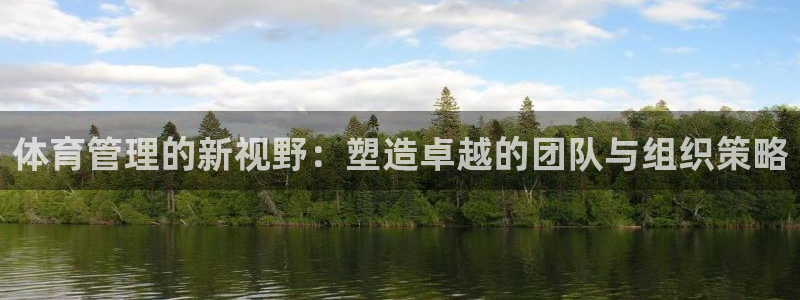 必一体育电子app：