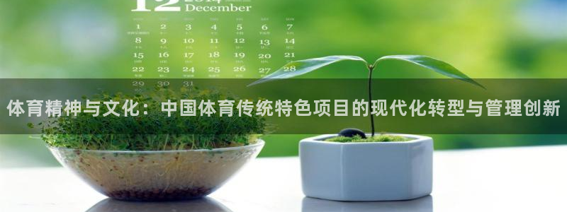 必一运动 b 体育素