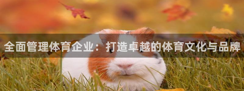 必一运动体育app：