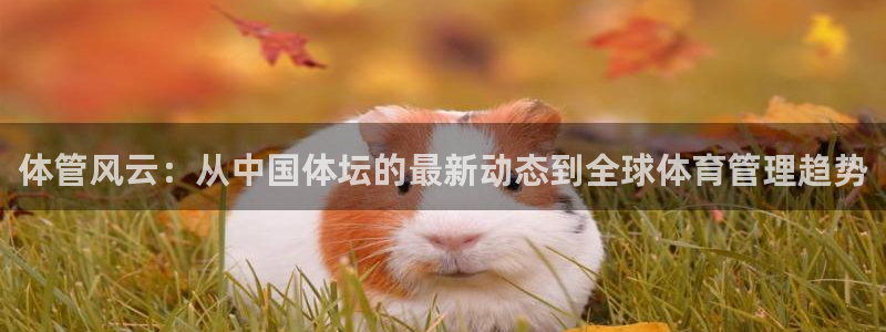 必一体育下载app下