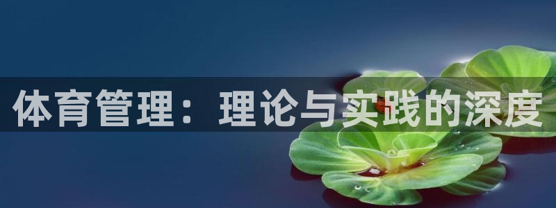 b体育官网下载入口a