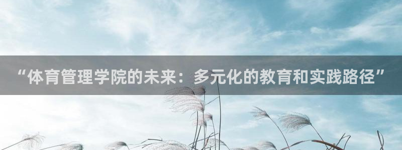 必一体育游戏玩法：“