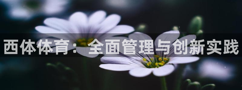 必一体育app下载最