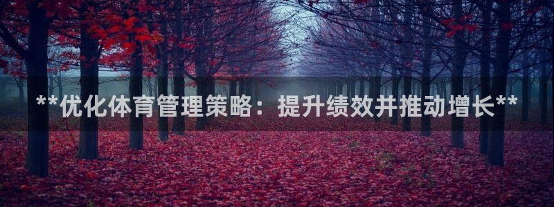 必一体育app官方网