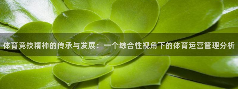 必一运动体育app：