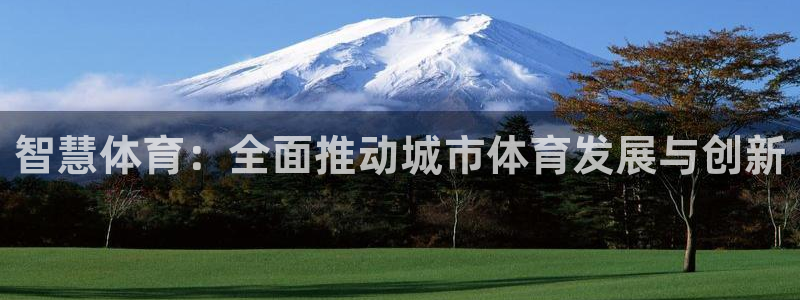 必一体育官网app：