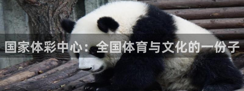 必一体育怎么下载：国