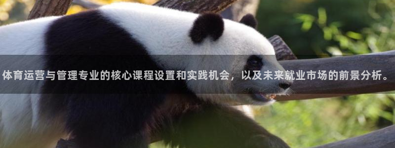 必一体育网站：体育运