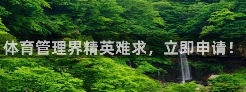 必一体育官网网站