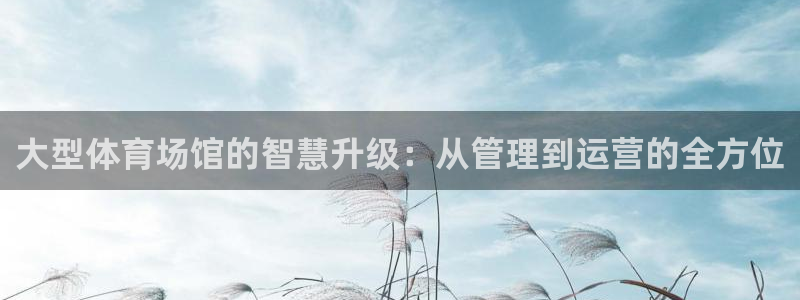 必一运动sport网