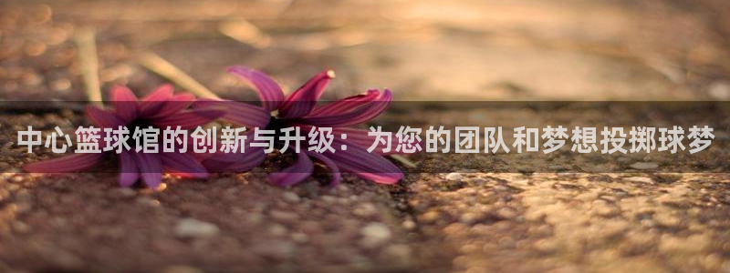 必一体育：中心篮球馆