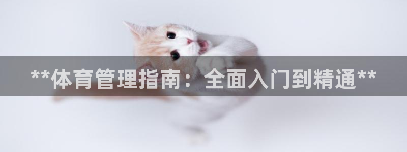 必一体育网页版登录