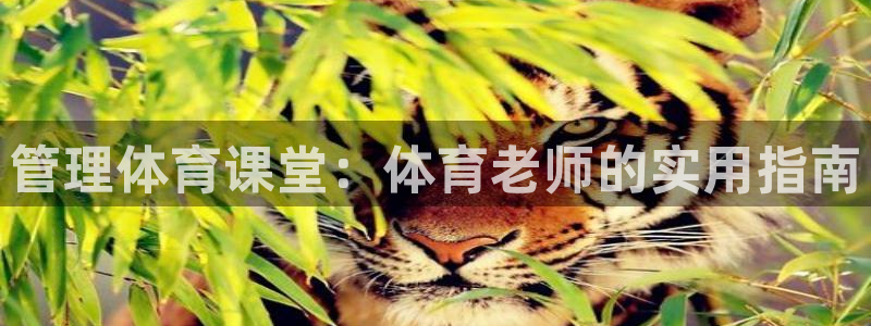 必一运动体育官网下载