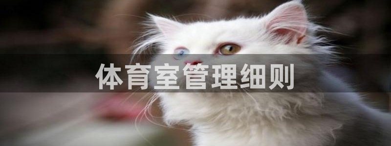 必一体育是哪里的台子