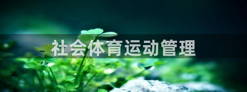 必一体育合法吗