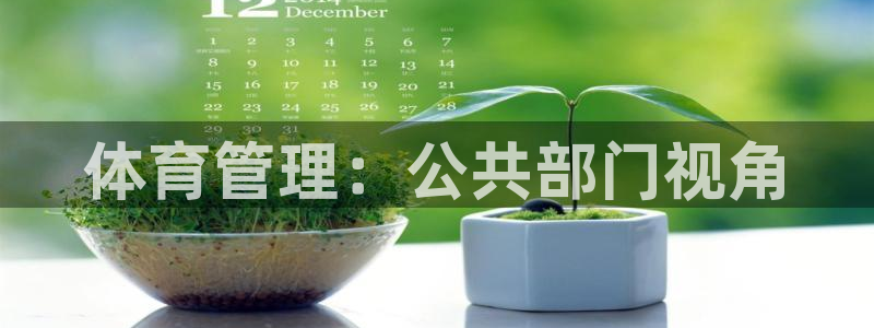 必一体育游戏玩法