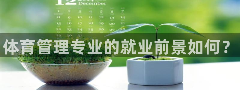 必一体育app官方