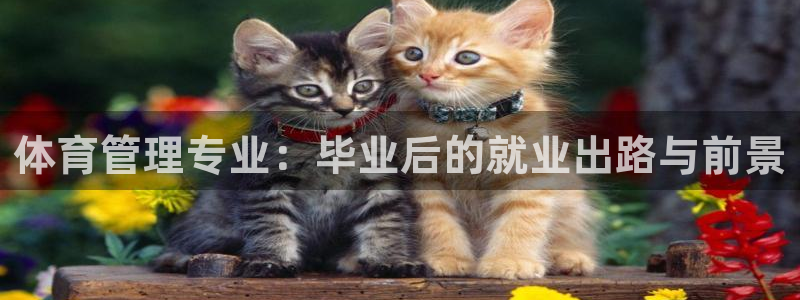 必一体育sport装机吧