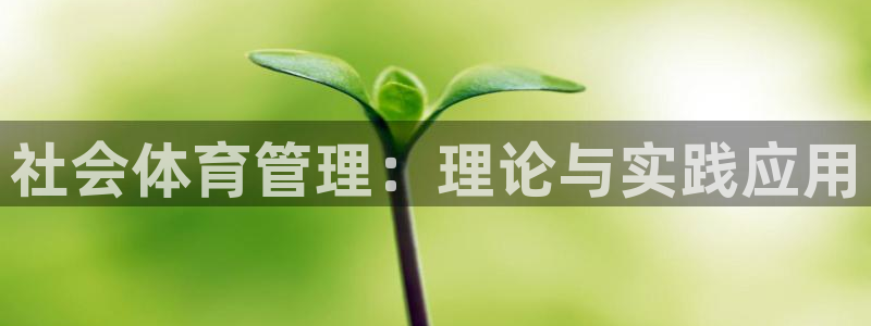 必一体育下载义：社会