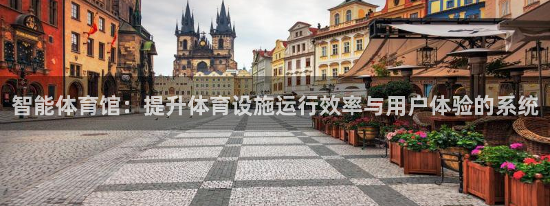 必一运动短信：智能体