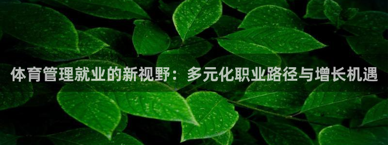 必一体育下载秀给网：