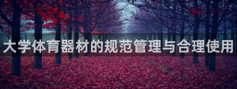 必一运动sport爱