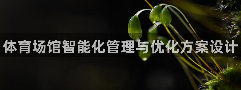 必一体育周公：体育场