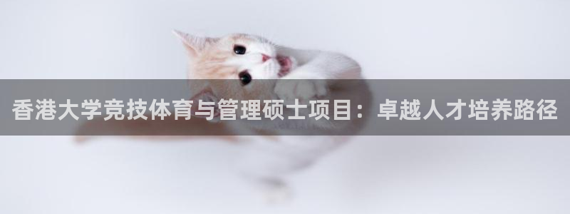 必一体育官网ios下