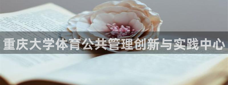 必一体育官方入口：重