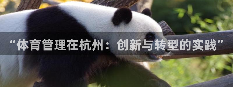 必一体育运动app：