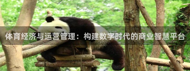 必一体育运动官网：体