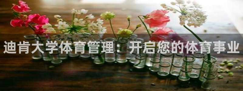 必一体育网页：迪肯大