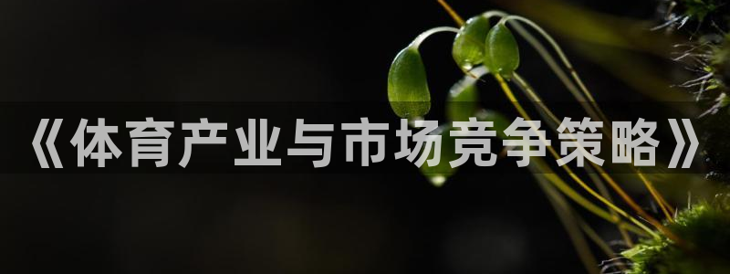 必一体育下载登入：《