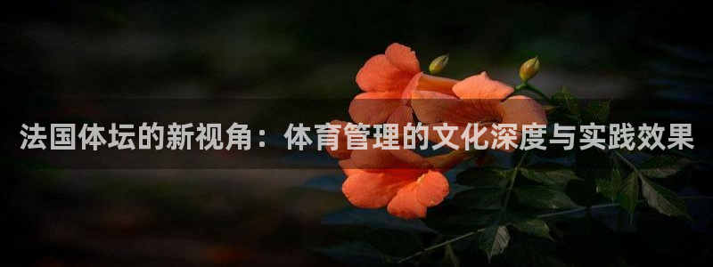 必一运动体育官网下载