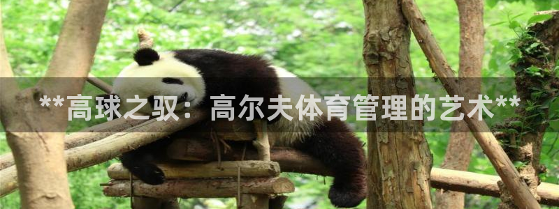 必一体育在线入口：*