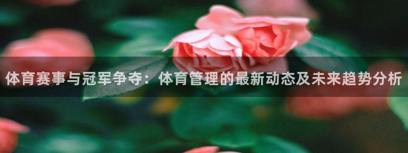 必一体育可靠吗：体育